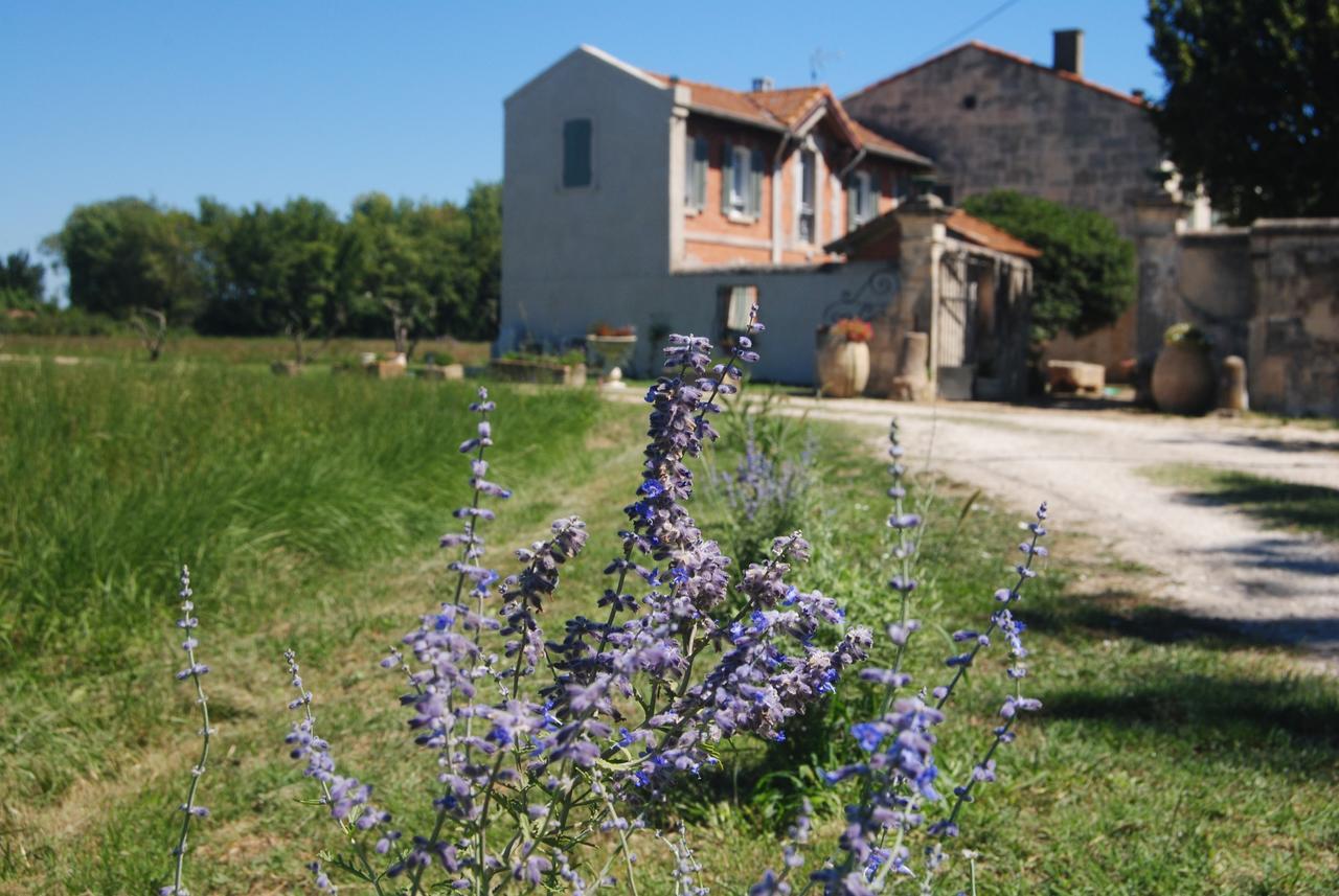 Le Mas Marguerite Arles Kültér fotó